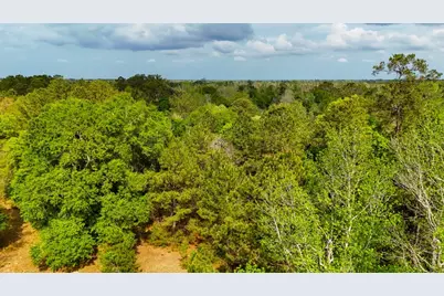 000 County Road 4630 Road N, Spurger, TX 77660 - Photo 5