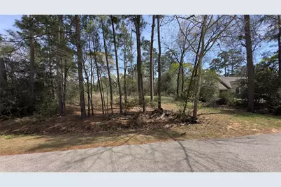 31910 Oaks Crossing, Magnolia, TX 77355 - Photo 3