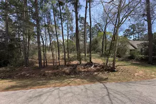 31910 Oaks Crossing, Magnolia, TX 77355 - Photo 3