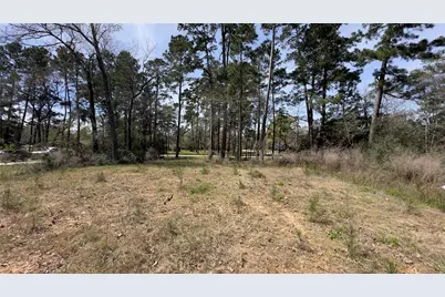 31910 Oaks Crossing, Magnolia, TX 77355 - Photo 5