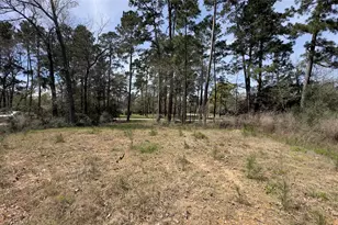 31910 Oaks Crossing, Magnolia, TX 77355 - Photo 5