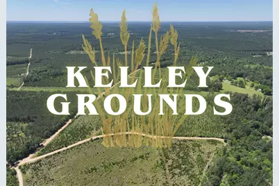 2-4 L Kelley Road, Livingston, TX 77351 - Photo 1