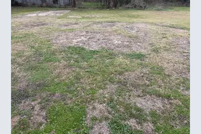 412 Williams Street, Sealy, TX 77474 - Photo 3