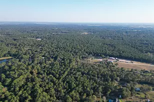 16893 Whippoorwill Rd Rd, Navasota, TX 77868 - Photo 15