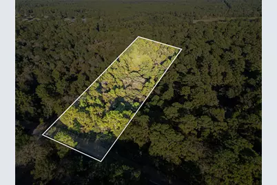 16893 Whippoorwill Rd Road, Navasota, TX 77868 - Photo 19