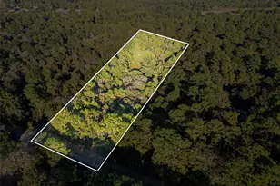 16893 Whippoorwill Rd Rd, Navasota, TX 77868 - Photo 19