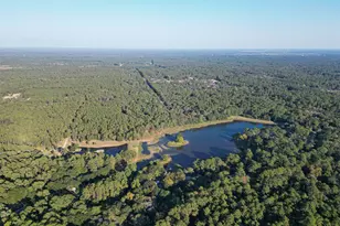 16893 Whippoorwill Rd Rd, Navasota, TX 77868 - Photo 13