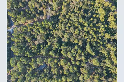 16893 Whippoorwill Rd Road, Navasota, TX 77868 - Photo 23