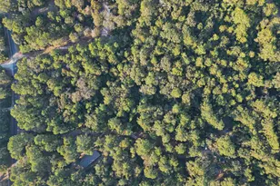 16893 Whippoorwill Rd Rd, Navasota, TX 77868 - Photo 23