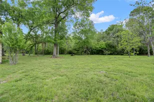 31 E Shady Ln, Houston, TX 77063 - Photo 13