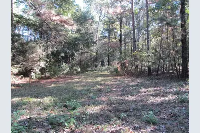 52 Fm 405 Road, Huntsville, TX 77320 - Photo 27