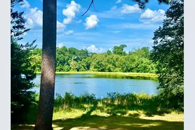 Tbd Lakeland Ranch Lot 392,393, Hillister, TX 77624 - Photo 15