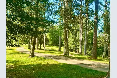 Tbd Lakeland Ranch Lot 392,393, Hillister, TX 77624 - Photo 23