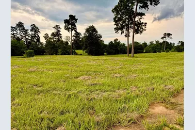 Tbd Lakeland Ranch Lot 392,393, Hillister, TX 77624 - Photo 31