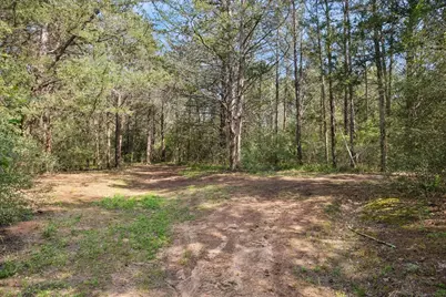 15946 Fm 1094, Cat Spring, TX 78933 - Photo 43