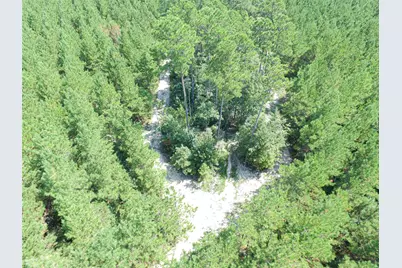 Tbd Sandydale Lane, Livingston, TX 77351 - Photo 11