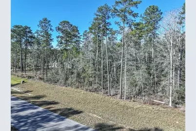 15268 Forest Grove Drive, Willis, TX 77378 - Photo 11