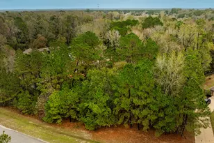 221 Skipper Jack, Montgomery, TX 77316 - Photo 3