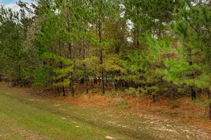 221 Skipper Jack, Montgomery, TX 77316 - Photo 9