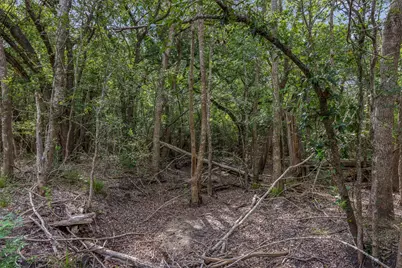 000 Schuster Road, Round Top, TX 78954 - Photo 11