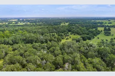 000 Schuster Road, Round Top, TX 78954 - Photo 23