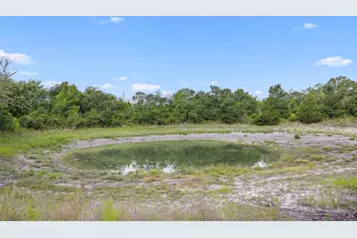 000 Schuster Road, Round Top, TX 78954 - Photo 19