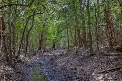 000 Schuster Road, Round Top, TX 78954 - Photo 7