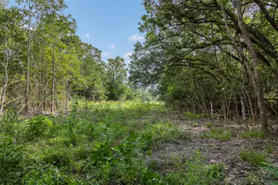000 Schuster Road, Round Top, TX 78954 - Photo 13