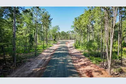 291 Debbie Lane, Pineland, TX 75968 - Photo 11