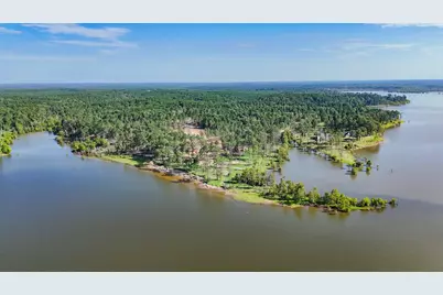 291 Debbie Lane, Pineland, TX 75968 - Photo 15