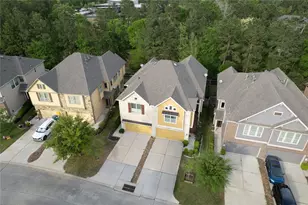 228 Cheswood Forest Pl, Montgomery, TX 77316 - Photo 3