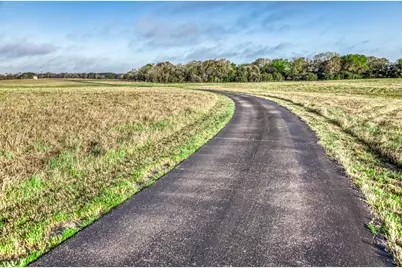 1580 County Road 377, Caldwell, TX 77836 - Photo 5