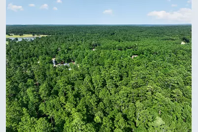 Tbd Branding Iron Road, Huntsville, TX 77340 - Photo 9