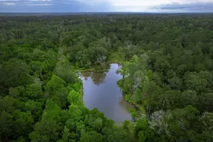 23514 Saratoga Woods Dr, Montgomery, TX 77316 - Photo 37