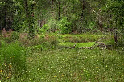 23514 Saratoga Woods Drive, Montgomery, TX 77316 - Photo 17