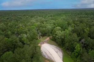 23514 Saratoga Woods Dr, Montgomery, TX 77316 - Photo 31