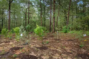 23514 Saratoga Woods Dr, Montgomery, TX 77316 - Photo 25