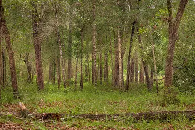 23514 Saratoga Woods Drive, Montgomery, TX 77316 - Photo 21