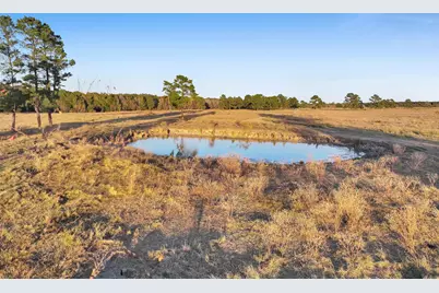 Tbd County Road 2058, Hull, TX 77564 - Photo 35