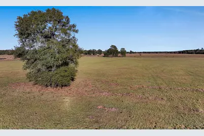 Tbd County Road 2058, Hull, TX 77564 - Photo 7