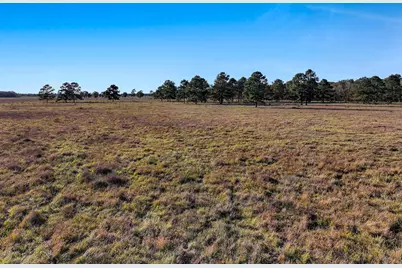 Tbd County Road 2058, Hull, TX 77564 - Photo 11