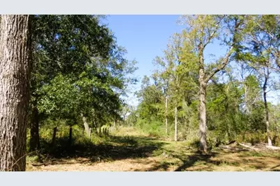 Tbd Jack Rabbit Lane, Hearne, TX 77859 - Photo 5