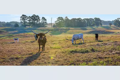 6020 Valley View Lane, Brenham, TX 77833 - Photo 25