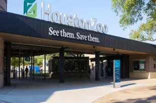 3314 N Macgregor, Houston, TX 77004 - Photo 23