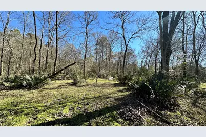 Tbd Fm 2158, Midway, TX 75852 - Photo 41