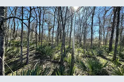 Tbd Fm 2158, Midway, TX 75852 - Photo 39