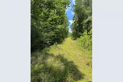 3095 County Road 1087, Wiergate, TX 75977 - Photo 13