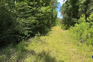 3095 County Rd 1087, Wiergate, TX 75977 - Photo 13