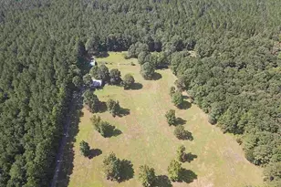 3095 County Rd 1087, Wiergate, TX 75977 - Photo 5
