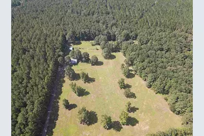 3095 County Road 1087, Wiergate, TX 75977 - Photo 5